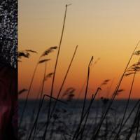 Glommens Fiskekrog 170714-15