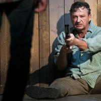 Så som i himmelen - recensioner